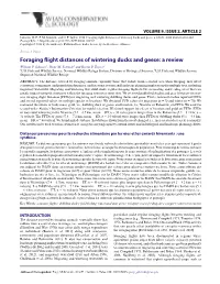 Foraging Flight Distances of Wintering Ducks and Geese: a Review