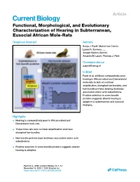Functional, Morphological, and Evolutionary Characterization of Hearing in Subterranean, Eusocial African Mole-Rats