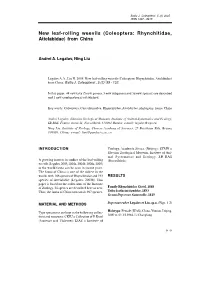 New Leaf-Rolling Weevils (Coleoptera: Rhynchitidae, Attelabidae) from China