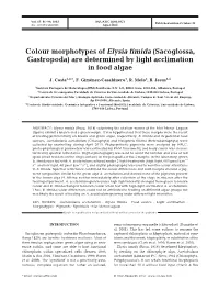 Colour Morphotypes of Elysia Timida (Sacoglossa, Gastropoda) Are Determined by Light Acclimation in Food Algae