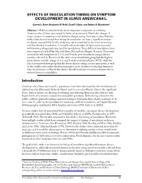 Effects of Inoculation Timing on Symptom Development in Ulmus Americana L