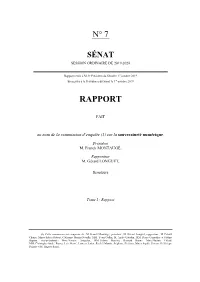 Le Rapport Au Format