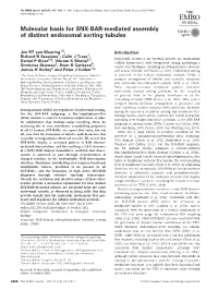 Molecular Basis for SNX-BAR-Mediated Assembly Of
