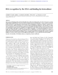 RNA Recognition by the DNA End-Binding Ku Heterodimer