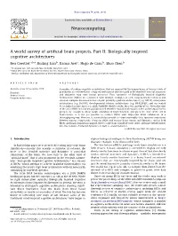 A World Survey of Artificial Brain Projects, Part II Biologically Inspired