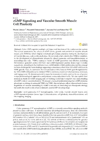 Cgmp Signaling and Vascular Smooth Muscle Cell Plasticity