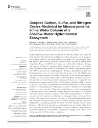 Coupled Carbon, Sulfur, and Nitrogen Cycles Mediated by Microorganisms in the Water Column of a Shallow-Water Hydrothermal Ecosystem