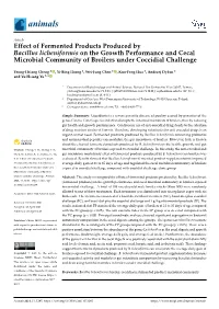 Effect of Fermented Products Produced by Bacillus Licheniformis on the Growth Performance and Cecal Microbial Community of Broilers Under Coccidial Challenge