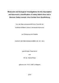 Molecular and Biological Investigations for the Description and Taxonomic Classification of Celery Latent Virus and a German