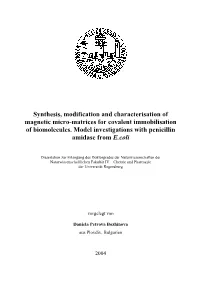 Synthesis, Modification and Characterisation of Magnetic Micro-Matrices for Covalent Immobilisation of Biomolecules. Model Investigations with Penicillin Amidase from E. Coli