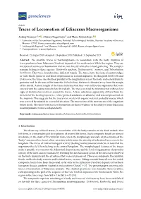 Traces of Locomotion of Ediacaran Macroorganisms