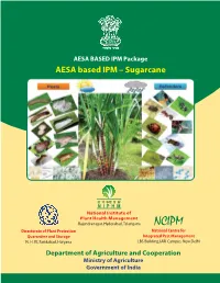 AESA Based IPM – Sugarcane Important Natural Enemies of Sugarcane Insect Pests