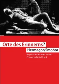 Im PDF-Format Lesen
