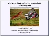 The Sympathetic and the Parasympathetic Nervous System