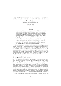 Superselection Sectors in Quantum Spin Systems∗