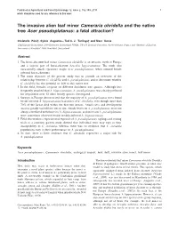 The Invasive Alien Leaf Miner Cameraria Ohridella and the Native Tree Acer Pseudoplatanus: a Fatal Attraction?
