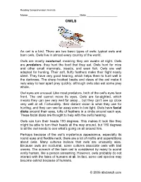 © 2006 Abcteach.Com an Owl Is a Bird. There Are Two Basic Types of Owls: Typical Owls and Barn Owls. Owls Live in Almost Every
