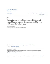 Determination of the Chromosomal Position of Three Mutations Using Recombination Mapping in Drosophila Melanogaster Zane Bryant Coleman University of Mississippi