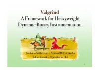 Valgrind a Framework for Heavyweight Dynamic Binary