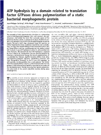 ATP Hydrolysis by a Domain Related to Translation Factor Gtpases Drives