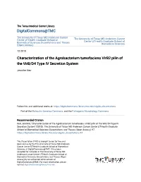 Characterization of the Agrobacterium Tumefaciens Virb2 Pilin of the Virb/D4 Type IV Secretion System