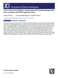 Foxc1 and Foxc2 Deletion Causes Abnormal Lymphangiogenesis and Correlates with ERK Hyperactivation