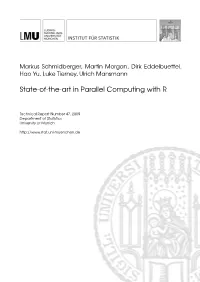 State-Of-The-Art in Parallel Computing with R