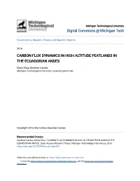 Carbon Flux Dynamics in High Altitude Peatlands in the Ecuadorian Andes