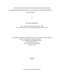 Complex Evolution in the Neotropics: the Origin And
