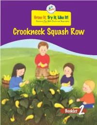 Crookneck Squash Row