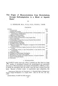The Origin of Monocotyledons from Dicotyledons, Through Self-Adaptation to a Moist