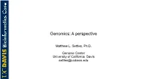 Genomics: a Perspective