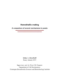 Homothallic Mating