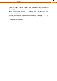 Xylan Decoration Patterns and the Plant Secondary Cell Wall Molecular Architecture
