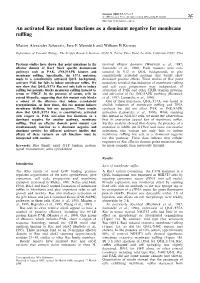 An Activated Rac Mutant Functions As a Dominant Negative for Membrane Ru‚Ing