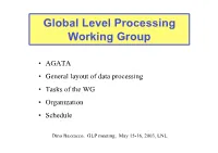 Global Level Processing Working Group