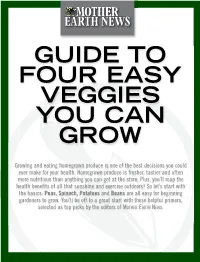 Guide to Four Easy Veggies You Can Grow