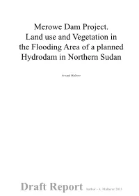 Merowe Dam Project. Land Use and Vegetation in the Flooding Area of a Planned Hydrodam in Northern Sudan
