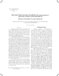 THE STRUCTURE of FLORAL ELEMENTS of Anchusa Officinalis L