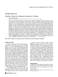 Emotions, Stress, and Maternal Motivation in Primates