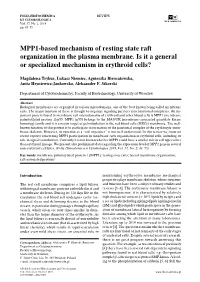 MPP1-Based Mechanism of Resting State Raft Organization in the Plasma Membrane. Is It a General Or Specialized Mechanism in Erythroid Cells?