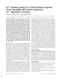 Dependent Activation