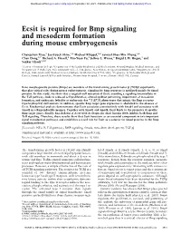 Ecsit Is Required for Bmp Signaling and Mesoderm Formation During Mouse Embryogenesis
