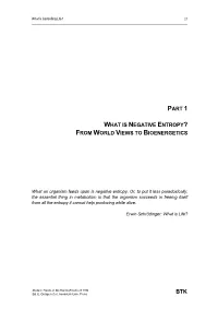 Part 1 What Is Negative Entropy? from World Views