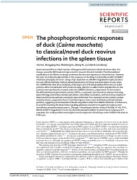 To Classical/Novel Duck Reovirus Infections in the Spleen Tissue Tao Yun, Jionggang Hua, Weicheng Ye, Zheng Ni, Liu Chen & Cun Zhang*