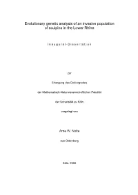 Evolutionary Genetic Analysis of an Invasive Population of Sculpins in the Lower Rhine