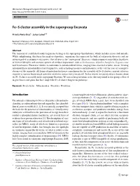 Fe–S Cluster Assembly in the Supergroup Excavata
