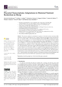 Placental Transcriptome Adaptations to Maternal Nutrient Restriction in Sheep
