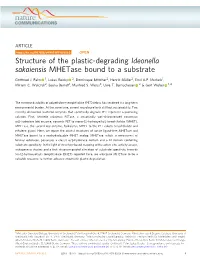 Structure of the Plastic-Degrading Ideonella Sakaiensis Mhetase Bound to a Substrate