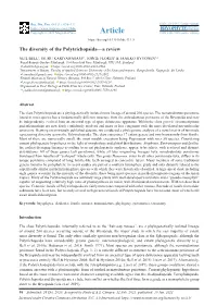 The Diversity of the Polytrichopsida—A Review